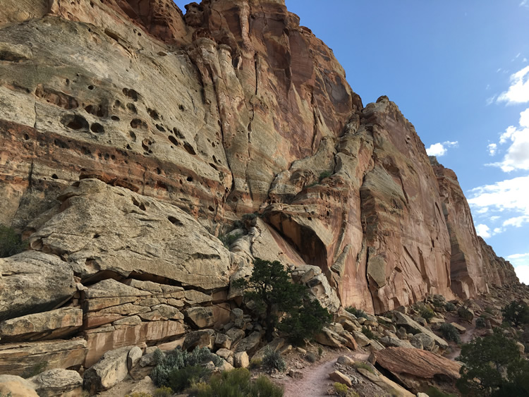 Capitol Reef National Park